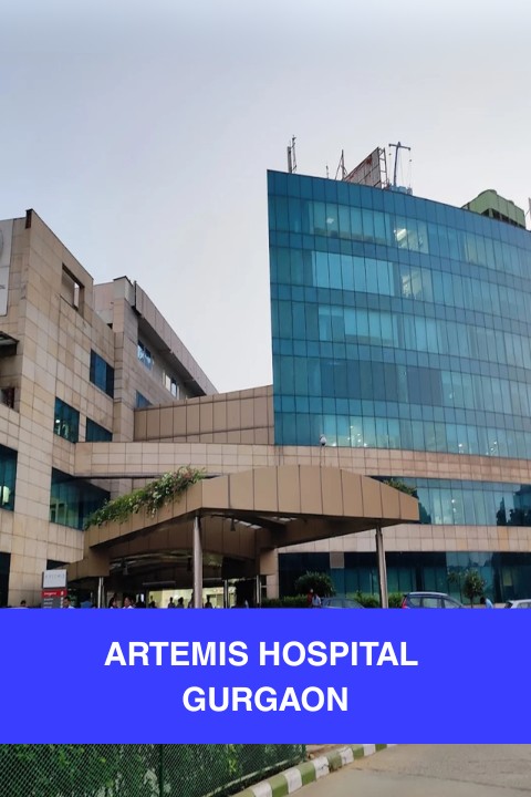 artemis hospital